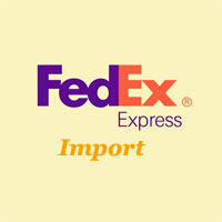 fedex tnt International Express进口服务